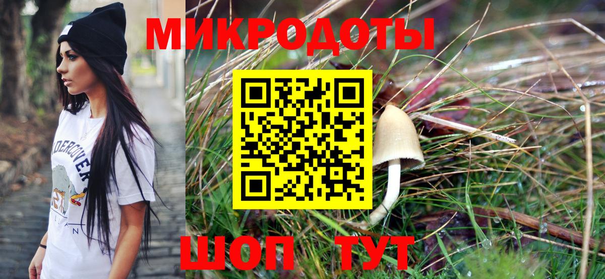 Псилоцибиновые грибы Psilocybe  цены наркотик  Бирск  Вход с VPN 