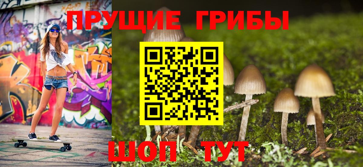 Псилоцибиновые грибы Cubensis Бирск